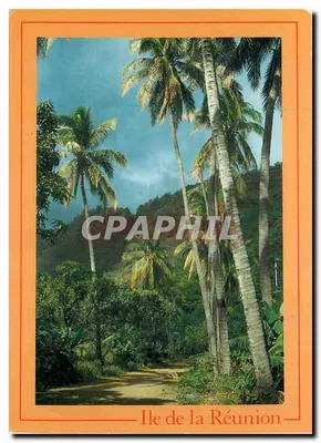 Wyspa Réunion — tropikalny krajobraz z palmami — wydruk w Francji, seria RE 120