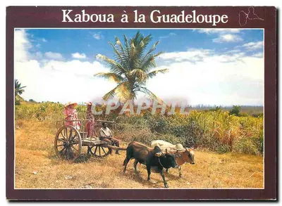 Kaboua na Guadalupe — cena de vida local — editor SCANDINEXIM, n° S.235