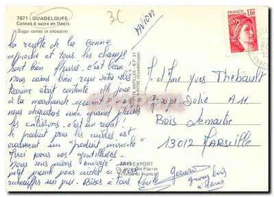 Sugar Cane in Bloom — Guadeloupe — Publisher Ch. Lezand-Pierret, n° 7671 — Back