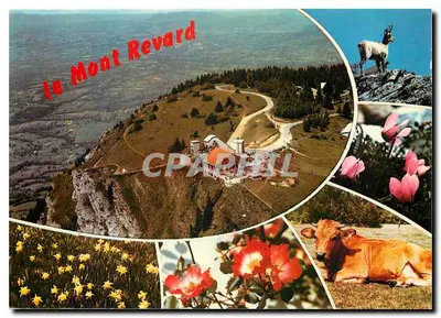 Le Mont Revard — vue panoramique et détails floraux et animaliers — Ed. J. Cellard, n° A.1054