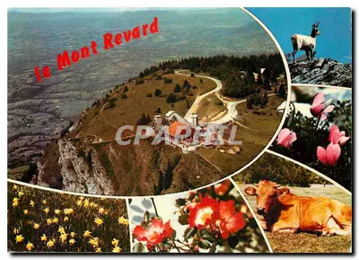 O Mont Revard — vista panorâmica e detalhes florais e animais — Ed. J. Cellard, n° A.1054