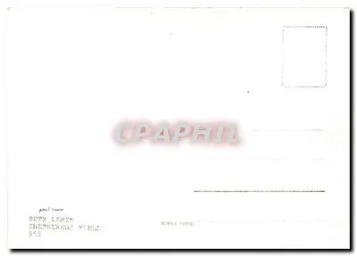Belém — Campo dos pastores — editor Ruman Phese — Verso