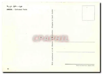 Uprawy rolne w Aneiza — Królestwo Arabii Saudyjskiej — wydawca: Ministerstwo Informacji — Rewers