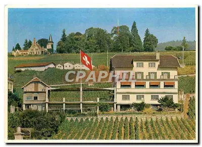 Vinhedos e edifícios em Auvernier — Hotel-Restaurante Bellevue — Impresso por J. Kleiner, Neuen