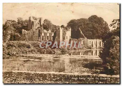 Castelo de Adare, Adare. Condado de Limerick — Ruínas de um castelo medieval à beira de uma lagoa — Irish Tourist Association Photo Ltd.