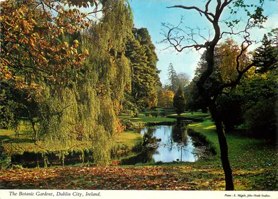 Os Jardins Botânicos, Cidade de Dublin, Irlanda — Foto: E. Nägele, John Hinde Studios