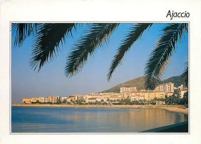 Ajaccio — vista portuária com palmeiras — Éditions S.M.D. Impressions Combier, n° C3 20004-0-0050