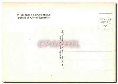 Limões com flores — Os Frutos da Costa Azul — Edições d'Art Munier, Nice — Verso