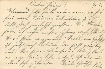 Karta pocztowa Feldpost — Feldpost 431 — Wiener Neustadt, 9 kwietnia 1917 — Rewers