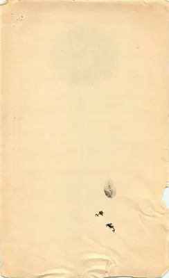 Der Maharadscha von Digha-Panna — Königlicher Stempel — datiert 1919 — Rückseite