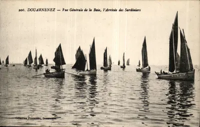Douarnenez — Vista Geral da Baia, a Chegada dos Sardiniers — Coleção Plodhinko, Douarnenez