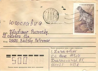 Sibéria — Urso branco — editor União Postal Soviética, número da série não visível