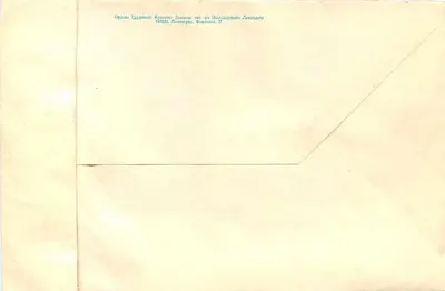 Róże — kartka pocztowa Bożego Narodzenia 1984 — Wydawca nieznany, numer seryjny nieczytelny — Rewers