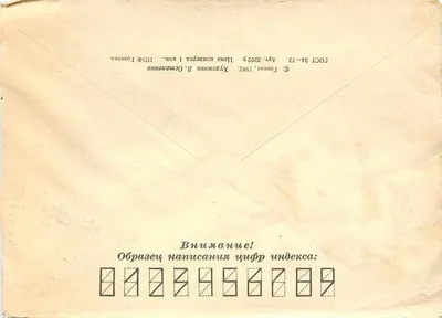 Pижма — Planta medicinal — Editor: Художник Б. Остапенко, 1982 — Verso