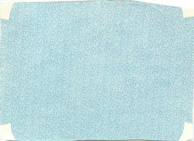 Carta postal soviética — motivo floral azul — editor R. Nalchik, n° 513 — Verso