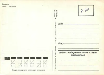 Bukiet margaretek — tło stopniowo przejściowe pomarańczowo-czerwone — Fotografia G. Kostenko, seria 80205-359 — Rewers
