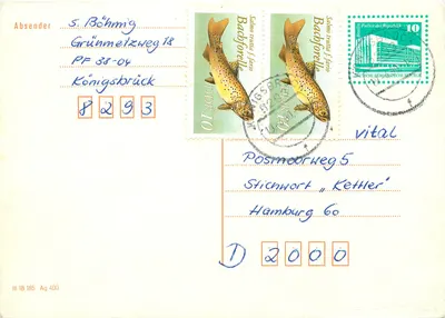 Peixes trutas — Série de selos DDR — Berlin, 1985