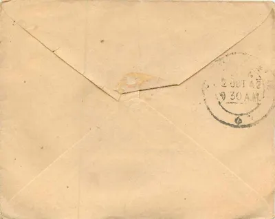 Sagarmalali — Sambhar Dake — India Postage — Rewers