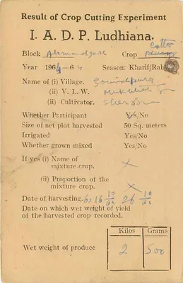 Wynik doświadczenia z uprawy rolniczej — Ludhiana — India Service — Rewers