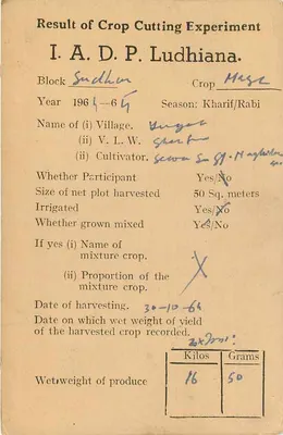 Resultado de experiência de colheita agrícola — Ludhiana — Instituto de Pesquisa Estatística, Nova Deli — Verso