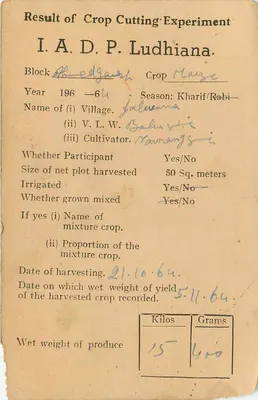 Resultado de experiência de colheita agrícola — Ludhiana — India Service — Verso