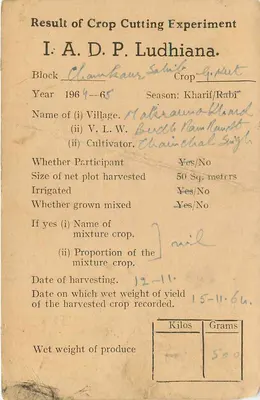 Eksperyment agronomiczny w Ludhiane — Instytut Badawczy Rolnictwa, Delhi — Rewers
