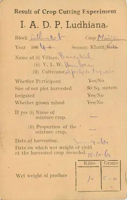 Wyniki doświadczenia z uprawy rolniczej — Ludhiana — India Service — Rewers