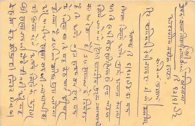 Indian postcard — text in Devanagari script — tiger stamp and postmark — Back