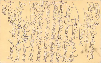 Tigre — selo de 15 p. — Índia — Verso