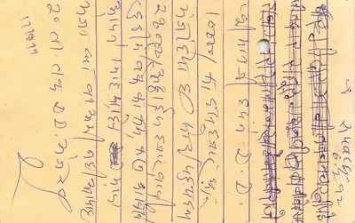 Jawai — carta resposta com carimbo de tigre — India Post — Verso