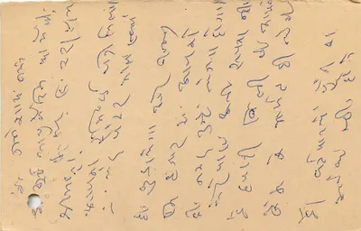 भारतीय पोस्टकार्ड — हस्तलिखित पाठ — 15 पैसे के टिमबर टाइगर और '24 APR 1981' के ओब्लिटेरेशन — पीछे