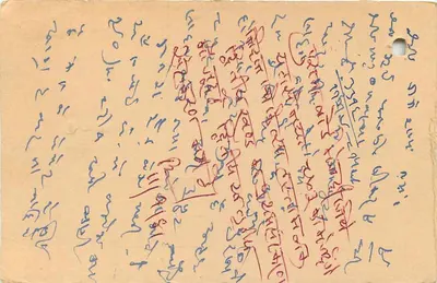 Carta postal indiana — texto em escrita cursiva — selo e carimbo do dia 11 de setembro de 1981 — Verso