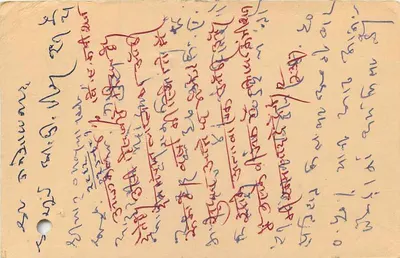 Carta postal indiana — texto em escrita manuscrita — selo tigre 15 p. e carimbo postal datado 23 JUL 1981 — Verso