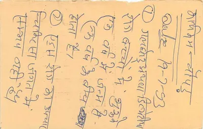 Cartolina indiana — timbro tigre — destinatario a Udaipur — Verso