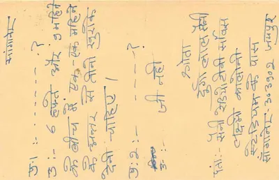 Carta postal de resposta indiana — selo de tigre, obliteração 'Jhansi' — destinatário em Udaipur-1 — Verso