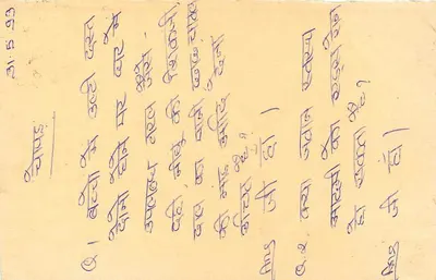 Ammner — Índia — carta postal de resposta com selo de tigre — Verso