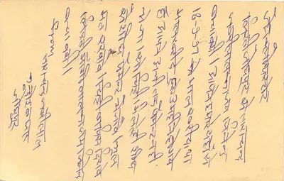 Carta postal indiana — selo tigre — carimbo de Bhopal — Verso