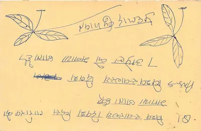 Plantas — desenhos botânicos — carta postal indiana — Verso