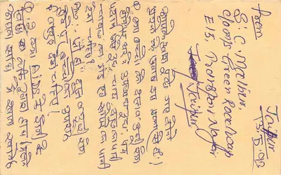 Jaipur — kartka pocztowa z pieczęcią tygrysa — wydawca nieznany — Rewers