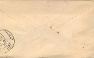 Bundeli — Raispatan — HIR.M. 4 LIŚCIE 1917 — znaczek 2 annas — Rewers