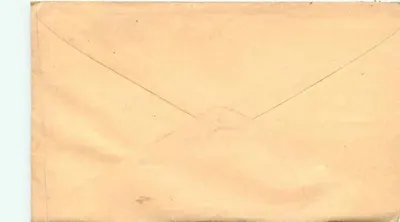 Pin Brook, Nova Iorque — Carta à assembleia eleitoral da cidade de Orange — selo de 3 centavos — Verso