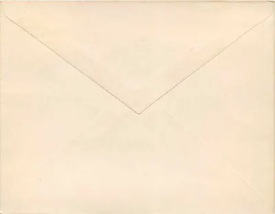 Brazylia — znak pocztowy 300 réis — wydawca nie widoczny — Rewers