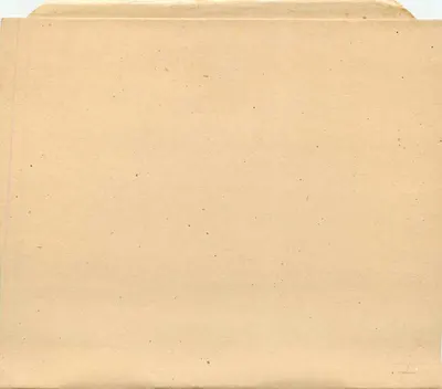 Brazylia — znaczek pocztowy 40 réis — wydawca nieznany — Rewers