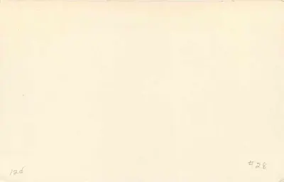 Ghana Timber — Ghana — 1½d — Rewers