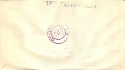 Trieste — Erster Tag der Ausgabe INTERPOL 1954 — Verlag Stamppati — Rückseite