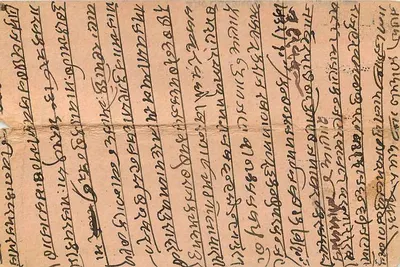 Arbre de houx et oiseau — illustration imprimée — The Shamsher Press — Bombay — Achterkant