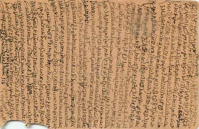 Jaisalmer — kartka pocztowa z motywem kwiatowym — nieznany wydawca — Rewers