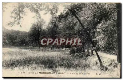 Bois de Meudon-Clamart — L'Étang de Villebôn — C. M. n°139