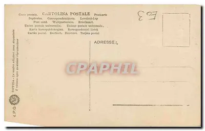 Roma - Accad. S. Luca - L'Iride (Guido Head) — série 878, editor V.P.G. — Verso