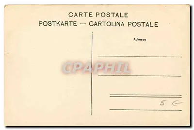 Lago di Garda - Ilha Ferrari — Edição Photoglob Co., Zürich, n° 7118 — Verso